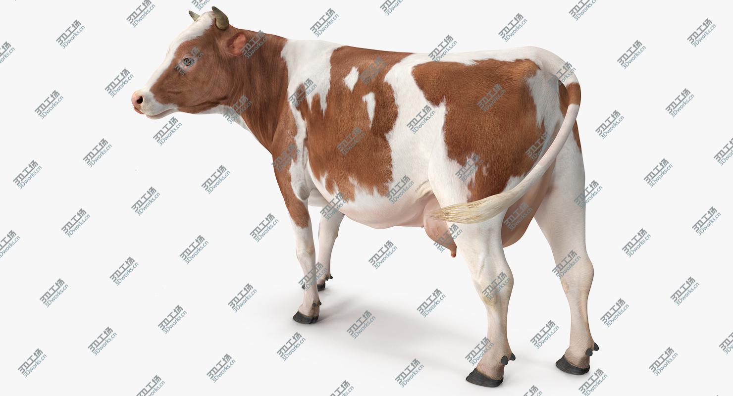 images/goods_img/202104092/3D model Red and White Cow/2.jpg